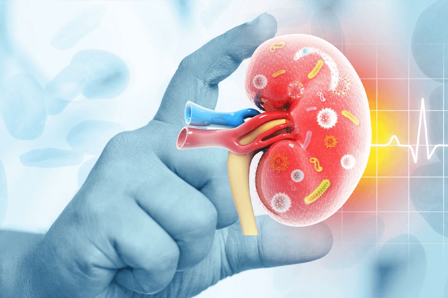 نقش کنترل دیابت و فشار خون در پیشگیری از بیماری کلیوی