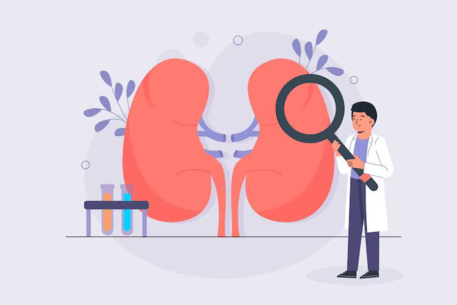 اصول کلی تغذیه برای بیماران دیالیزی