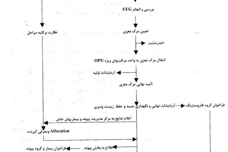 اعلام مرگ مغزی و مراحل پیوند