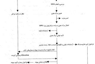 اعلام مرگ مغزی و مراحل پیوند